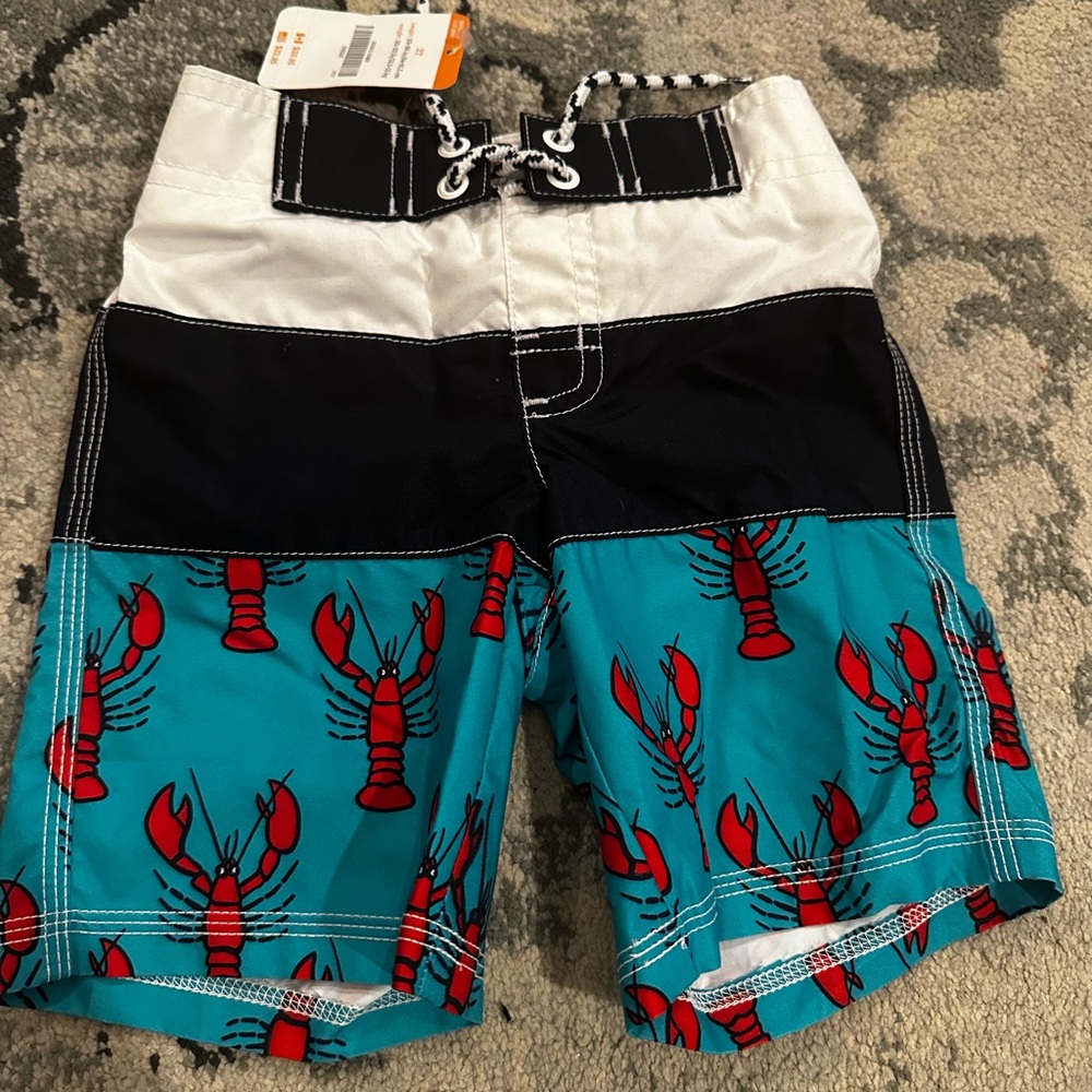 Gymboree Boys Swim Trunks and Swim Tees, Size 2T - Picture 4 of 10